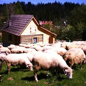 Domek alpejski Domek Przy Olczyskiej, Zakopane